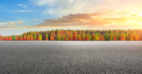 Empty asphalt road and beautiful colorful forest in autumn