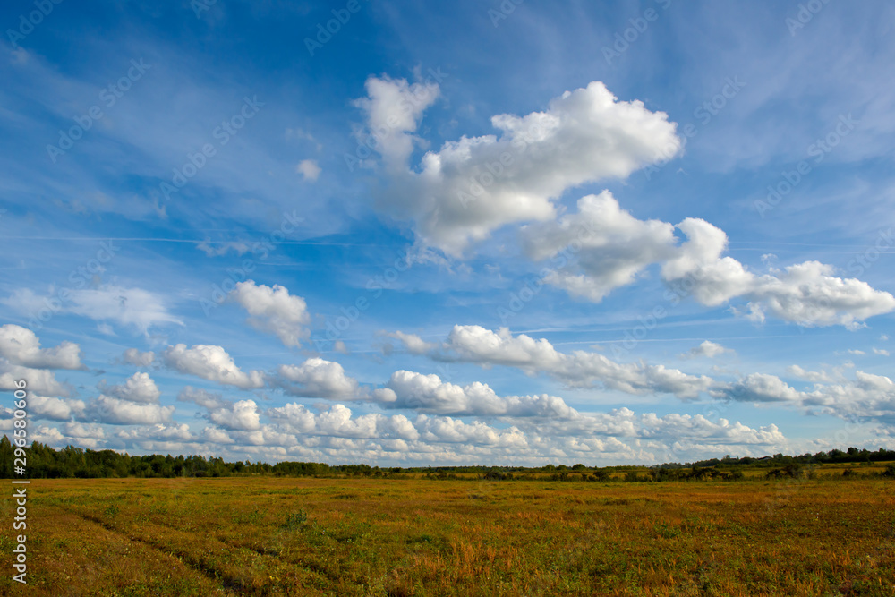 Landscape fields and huge sky. Beautiful nature of arable Europe.