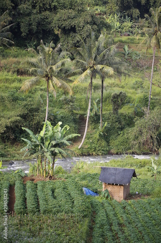 Happy Valey in Bogor, Java, indnesia photo