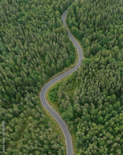 Curve road through a forest. Aerial view.