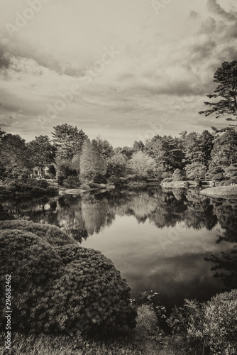 Panoramic view of Hadlock Pond in foliage season. Tree colors of Acadia National Park, Maine photo