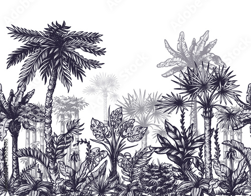 Seamless border with graphic tropical trees such as palm, banana, monstera for interior design. Vector
