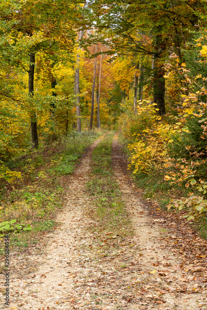 Russberg im Herbst _Deutschland 