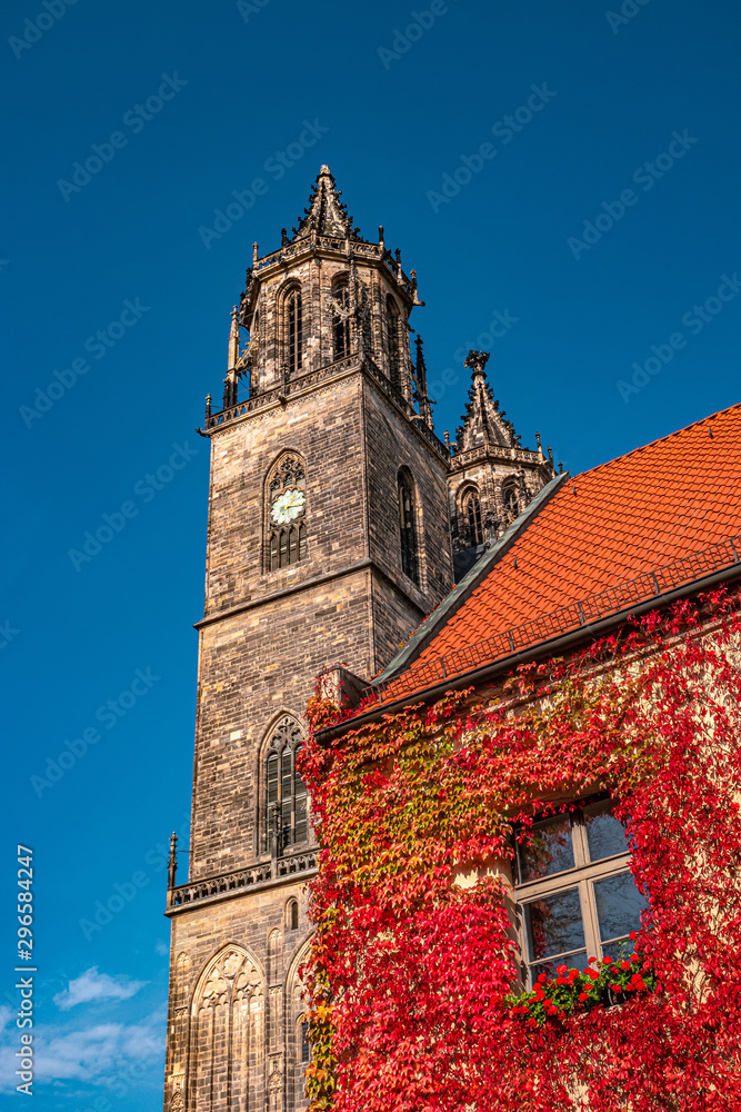 Magnificent 800 years old Cathedral in Magdeburg in ivy red and golden Autumn colors, Germany
