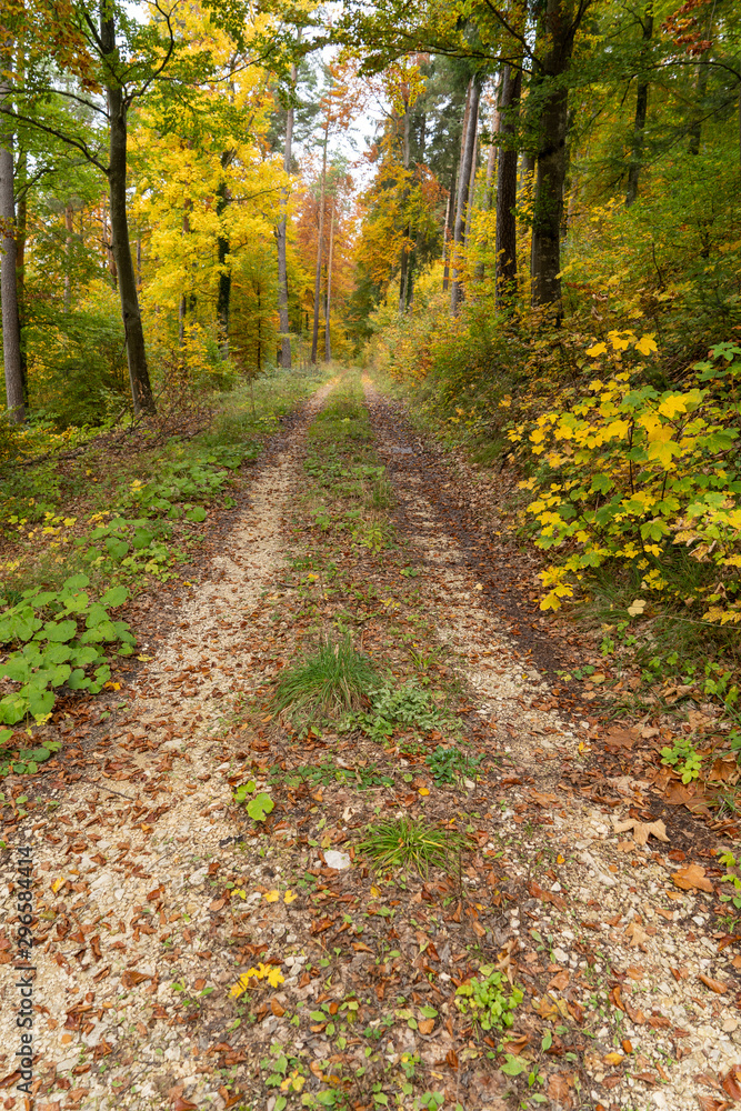 Fototapeta premium Russberg im Herbst _Deutschland 