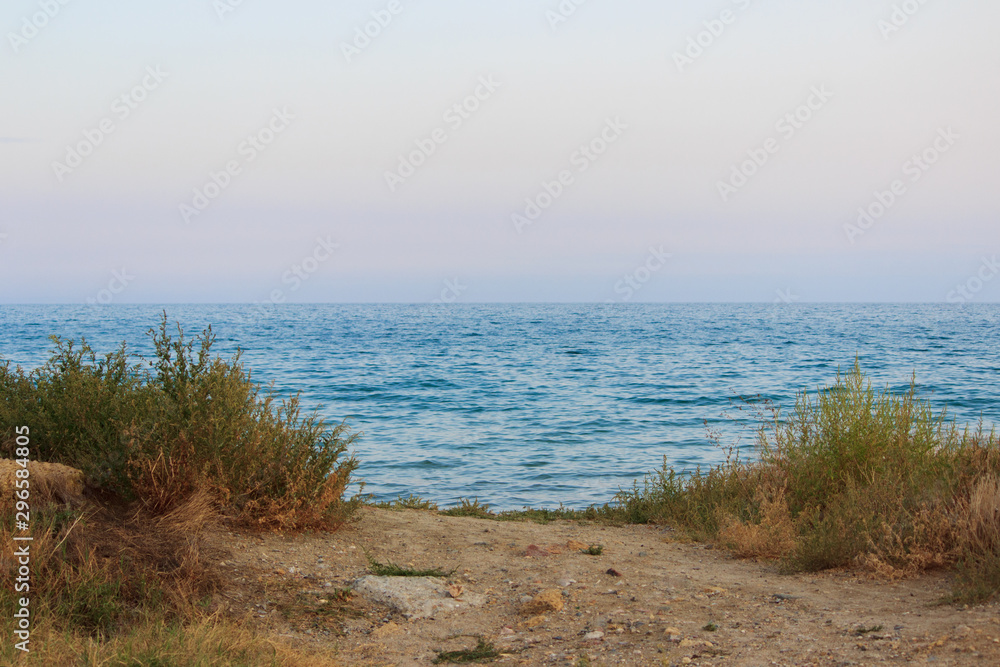 access to the sea. road and grass growing on the sidelines. pink and blue sky at pre-sunset hour