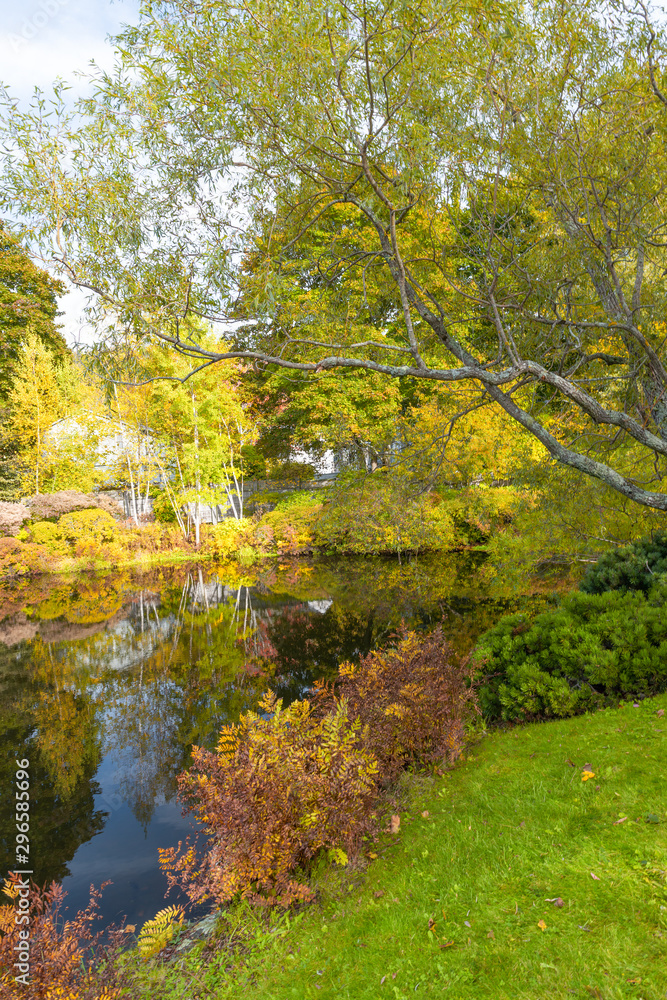 Panoramic view of Hadlock Pond in foliage season. Tree colors of Acadia National Park, Maine