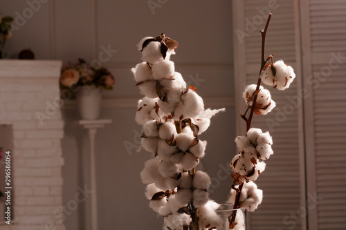 a branch of the cotton inside