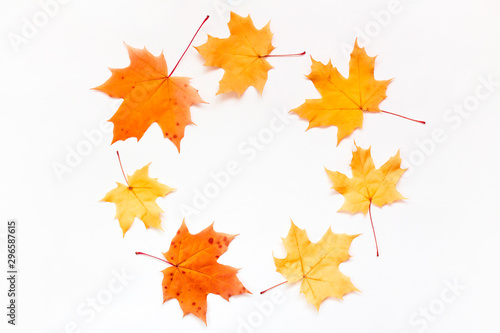 Round banner of maple leaves. Orange autumn leaves in circle wreath. Floral card design  place for text.