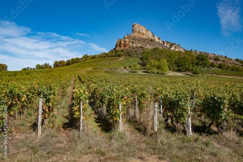 Solutre Rock with vineyards, Burgundy, France photo