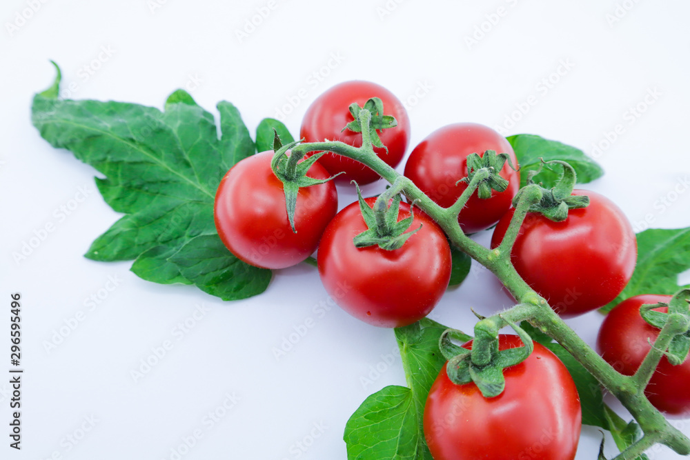 bunch of fresh tomatoes with stem and leaves on white background bunch of fresh tomatoes with stem and leaves on white background