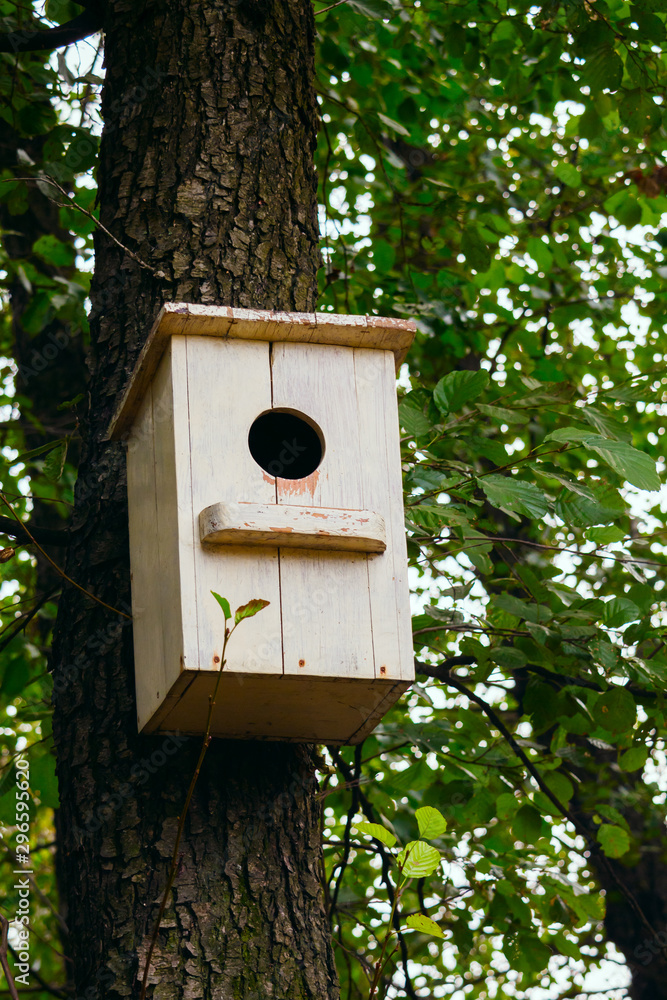 Birdhouse on a tree in the spring forest. House for starlings. Wooden white nesting box.