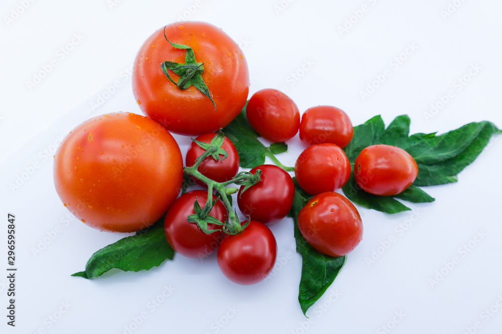 bunch of fresh tomatoes with stem and leaves on white background bunch of fresh tomatoes with stem and leaves on white background