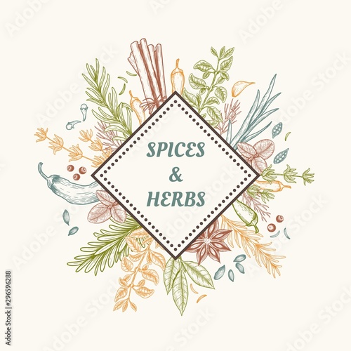 Vector card design with hand drawn spices and herbs. Decorative colorful background with vintage spice sketch.