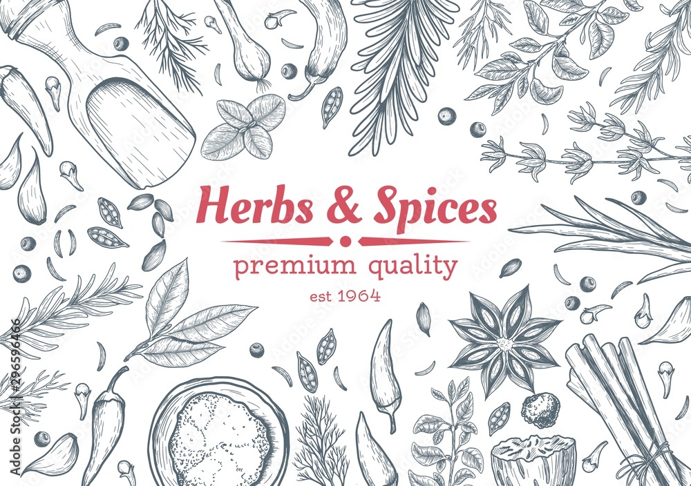 Spice and herbs top view frame. Spice and herbs design. Vintage hand drawn sketch vector illustration. Vector Design template. Vector card design with hand drawn spices and herbs. - obrazy, fototapety, plakaty 
