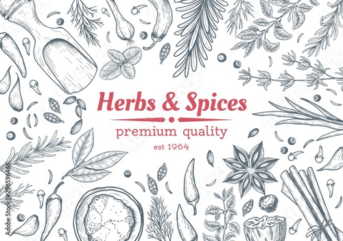 Slika na platnu Spice and herbs top view frame