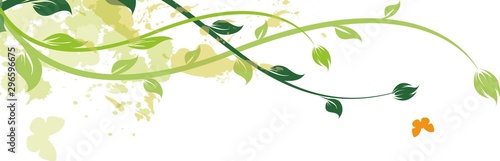 Trazos florales