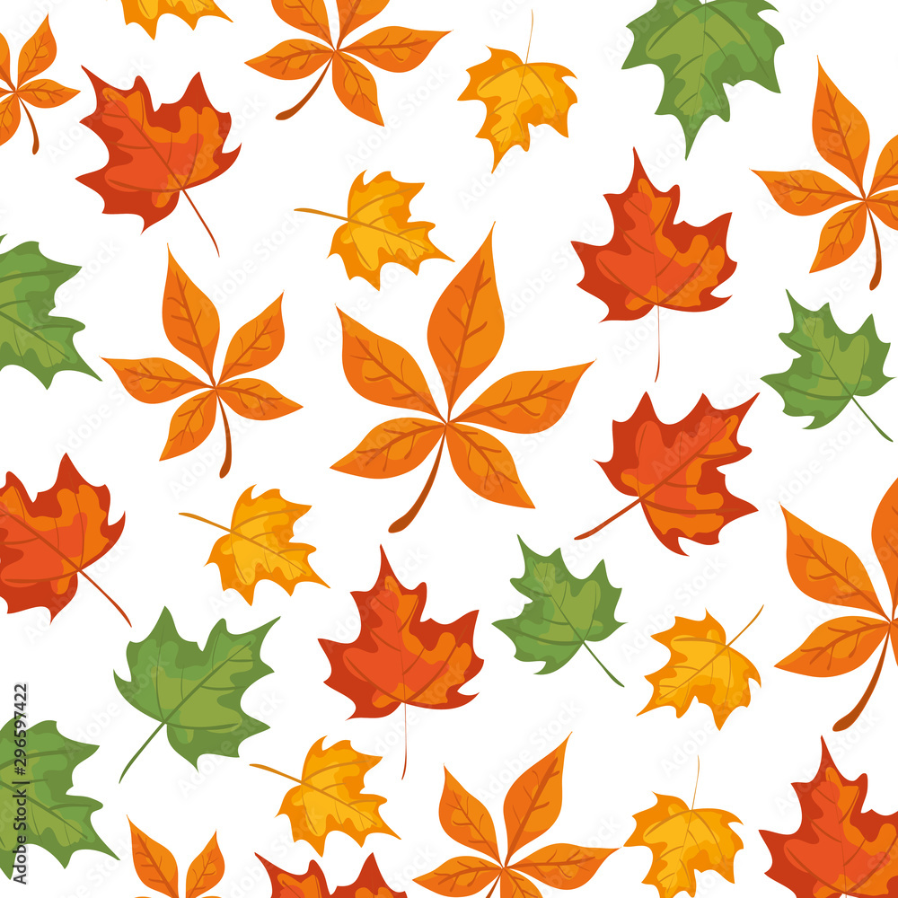 Obraz premium autumn pattern with leafs nature vector illustration design