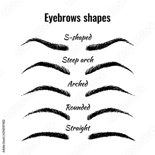 Eyebrows shapes vector set, five main shapes of woman eyebrows isolated on white background