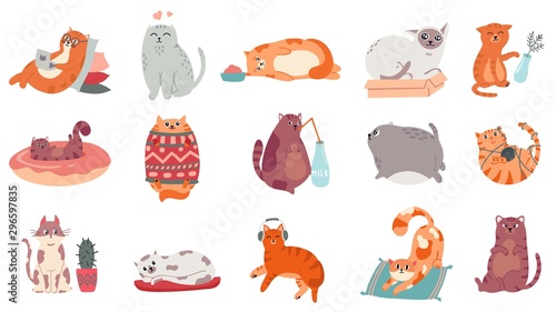 Cute cats. Funny cat in box, adorable sleeping kitty and fat cat in sweater vector illustration set. Domestic kitten lifestyle. Humorous pet working on laptop, doing yoga, listening to music stickers