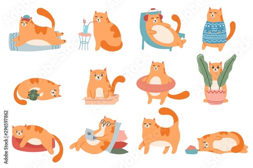 Canvas-taulu Cute cats
