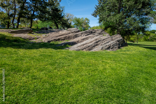 Summer park lawn with big rock, trees and day blue sky