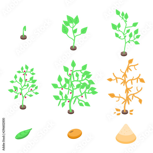 Soybean icons set. Isometric set of soybean vector icons for web design isolated on white background
