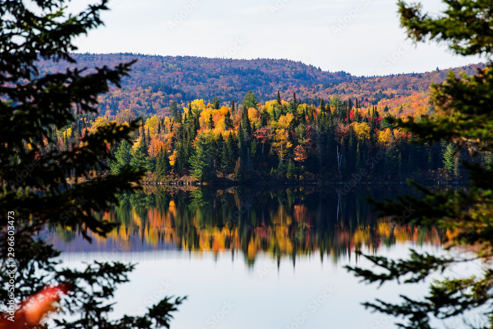 Obraz premium Beautiful fall reflection in mauricie national park
