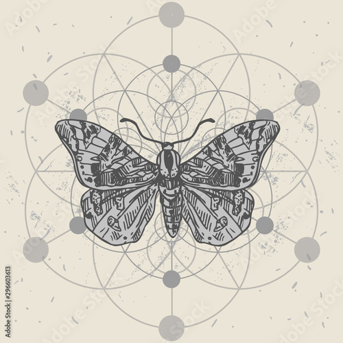 Butterfly and sacred geometry. Hand drawn vector illustration
