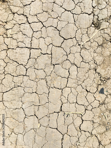 Dry ground in the cracks. Global environmental issue.