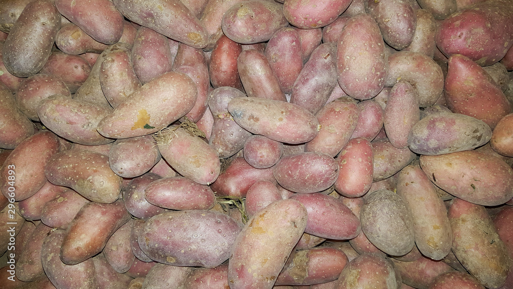 red organic potatoes for sale at market background red organic potatoes for sale at market background