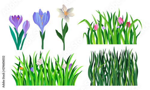 Grass And Flower Elements For Decoration. Vector Illustrated Set