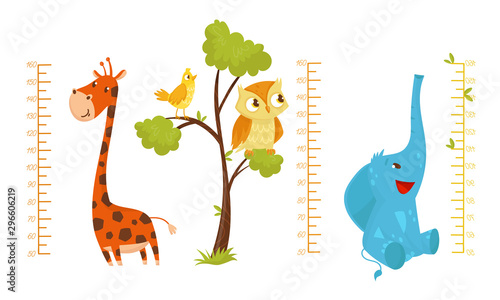 Height Children Chart With African Cute Animal Characters Vector Illustrated Set