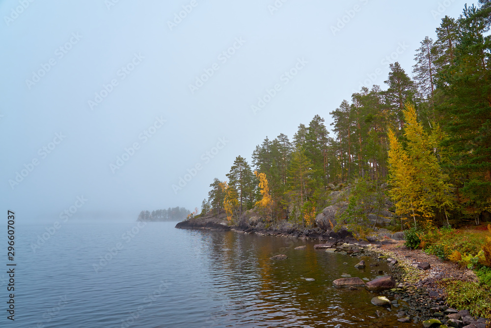 Coast of foggy lake in autumn with colorful trees and reflection on water. Copy space.