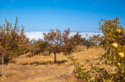 Gran Canaria, October photo