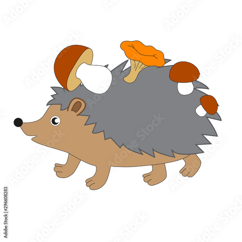 Hedgehog carries stocks of mushrooms.