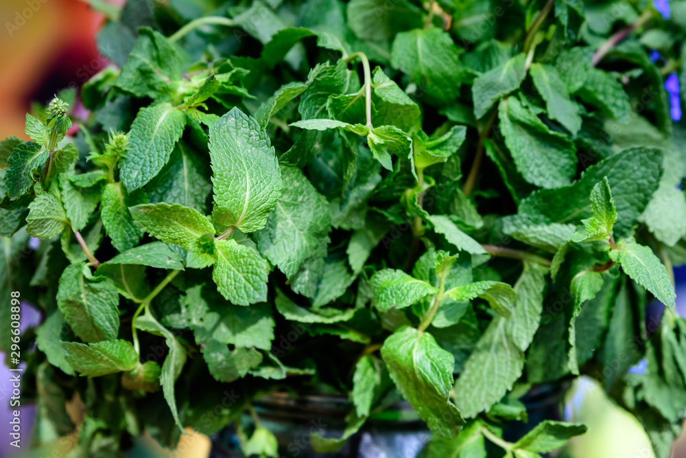 Fresh green mint in a glass jar in display at a food market Fresh green mint in a glass jar in display at a food market