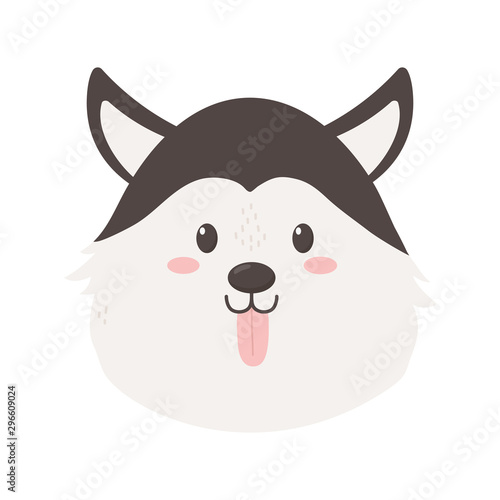 cute dog siberian head on white background