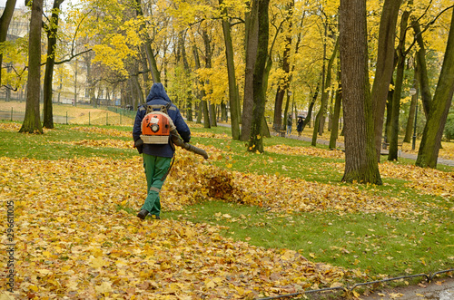 Worker cleaning company. Collects fallen leaves.