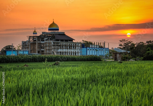 Mosque building construction from rice fields at sunset