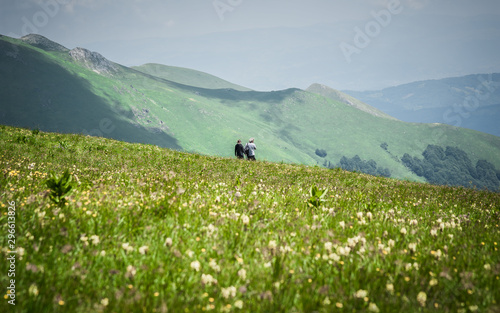 Hikers walking on trail. Young couple hiking in mountains photo
