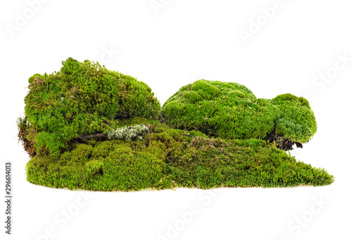 Green moss isolated on white background. Mossy hill.