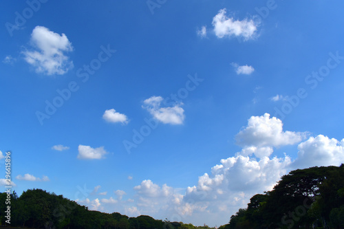 Lake Park Garden and Blue Sky Big Tree View © Chuttapon