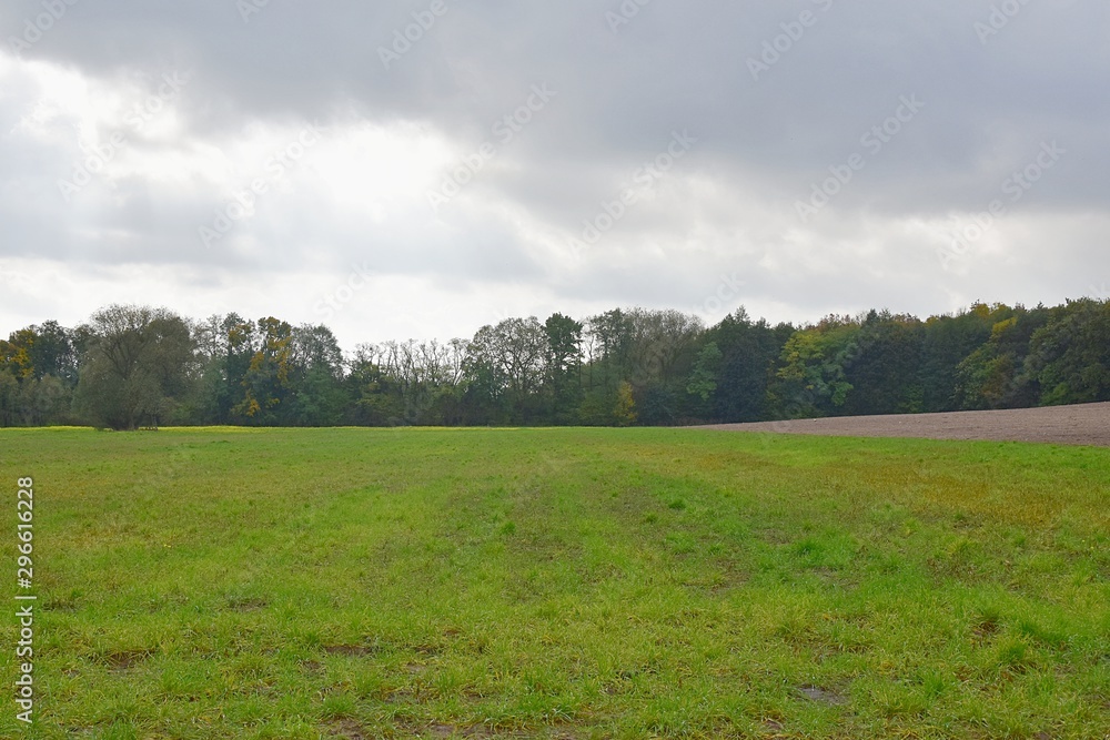 Fototapeta premium Krajobraz wiejski