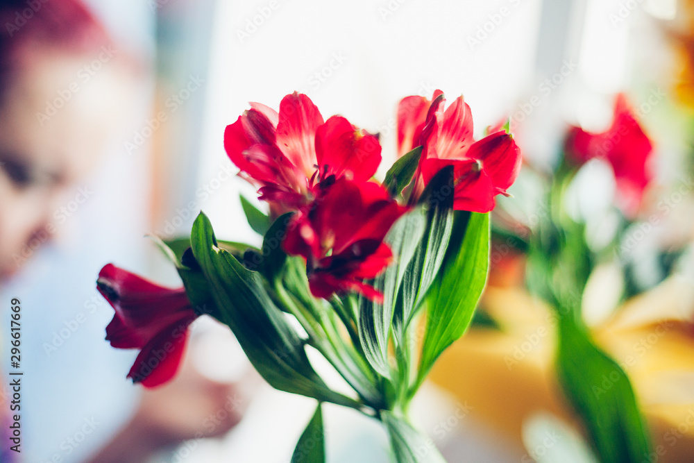 bouquet of red tulips in a vase with woman in background out of focus, blurred, shallow depth of field