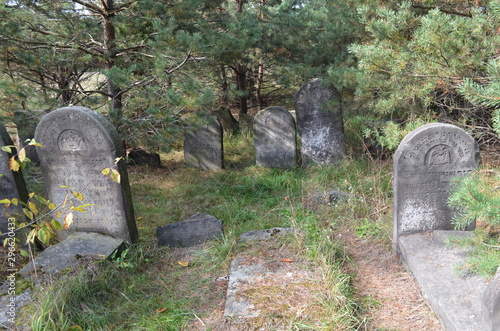 Cmentzarz Żydowski w Żarkach, Kirkut na Kierkowie, Polska photo