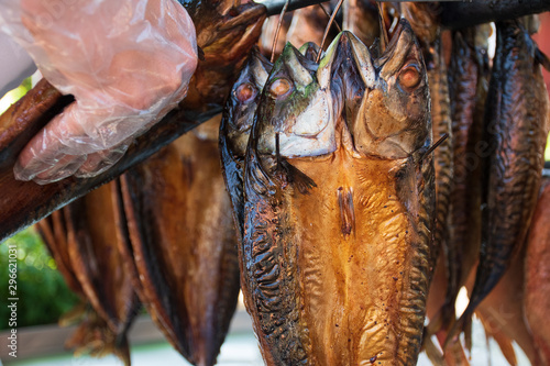 Dry smoked mackerel fresh fish  close up