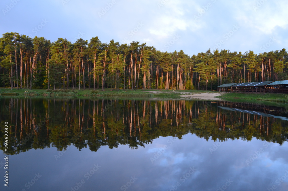 Fototapeta premium Staw Amerykan w Złotym Potoku jesiennym porankiem, Jura krakowsko-Częstochowska, Polska