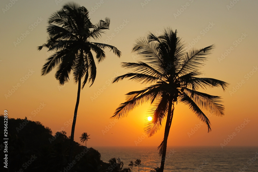 Beautiful sunset over the sea and silhouette of palm trees in Goa, India.