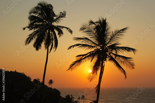 Beautiful sunset over the sea and silhouette of palm trees in Goa  India.